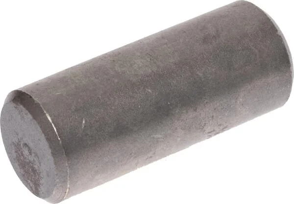Vogel Noot - VNRA1413002 - Bullone