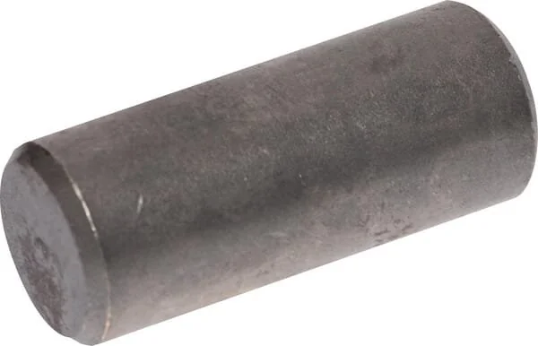 Vogel Noot - VNRA1413002 - Bullone
