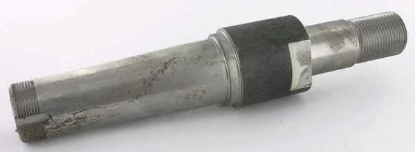 Vogel Noot - VNRZ2328002 - Asse