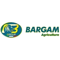 Bargam
