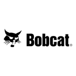 Bobcat