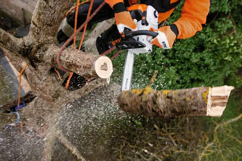 STIHL - 1145-200-0328 - Motosega a benzina MS 201 TC-M 2.4 hp